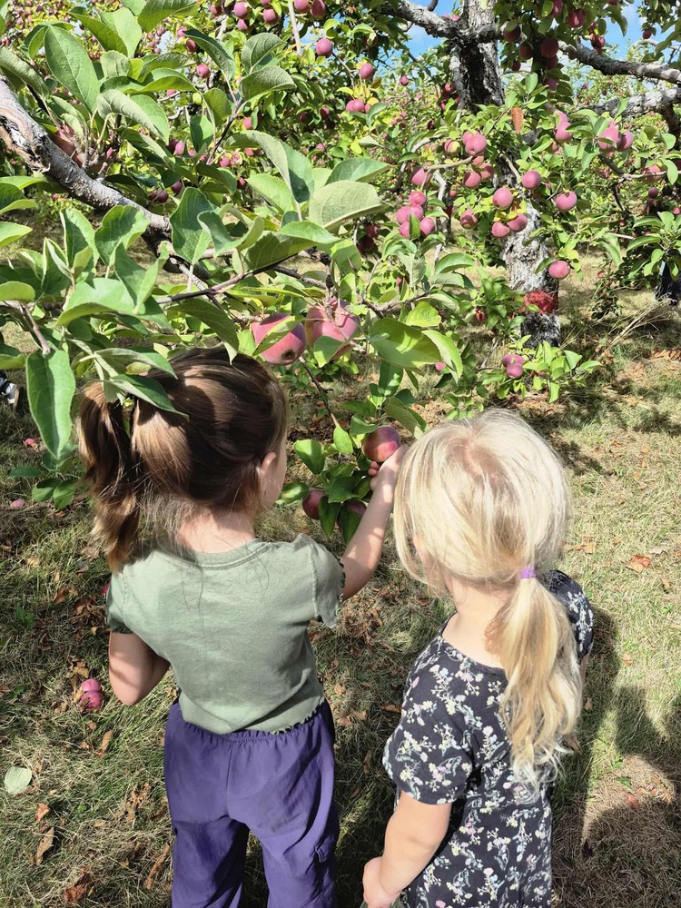 Des bonnes pommes 🍎