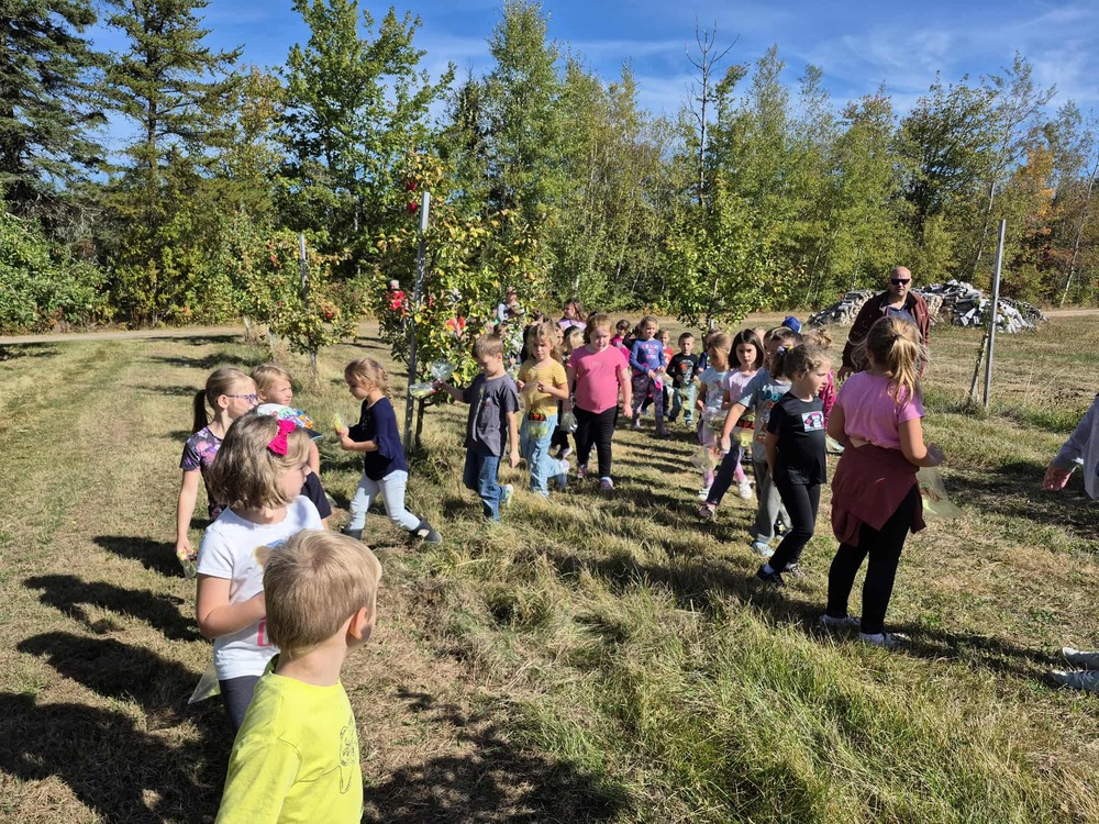 53c28cfb 730c 4485 8f00 e41fd149543e