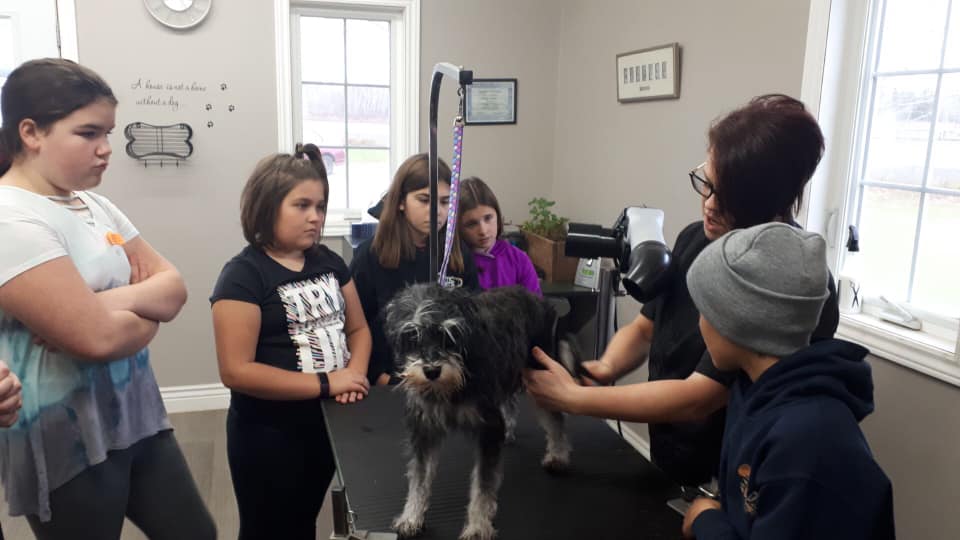 74889344 2140264222944854 3972972532666990592 n