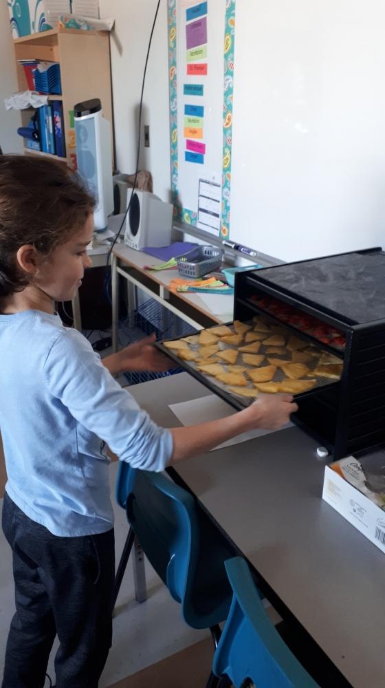 78558278 558091938095323 3101601914022789120 n