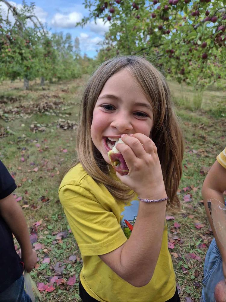 82bcc769 adb0 4f20 b13c 3e9becca7dc3