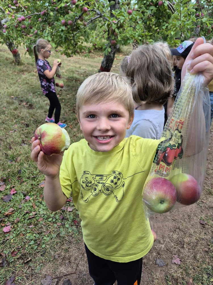 62520524 2042518129386131 4794779348974436352 n